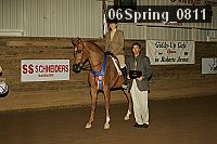 06spring_0811 proof