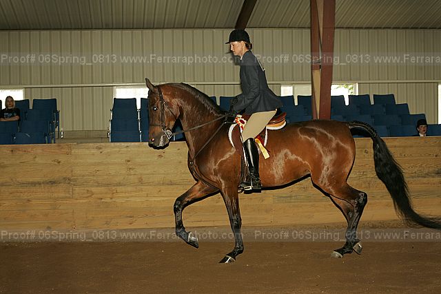 Proof 06spring_0813