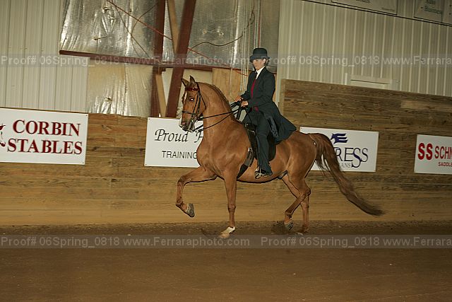 Proof 06spring_0818