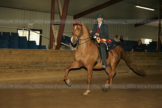 Proof 06spring_0820