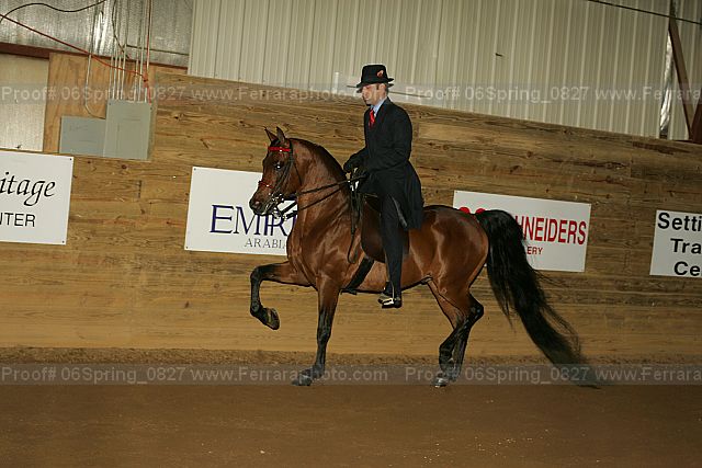 Proof 06spring_0827