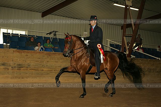 Proof 06spring_0829