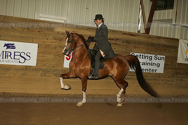 Proof 06spring_0831