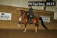 06spring_0831 proof