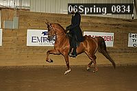 06spring_0834 proof
