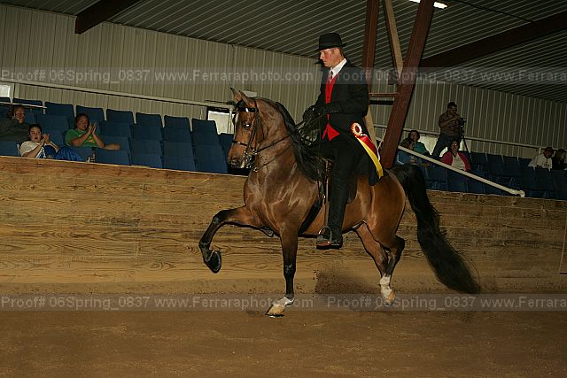 Proof 06spring_0837