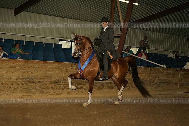 Proof 06spring_0838