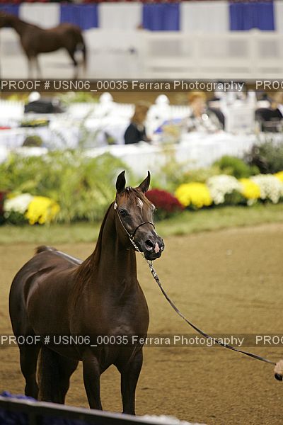 Proof USN06_00035