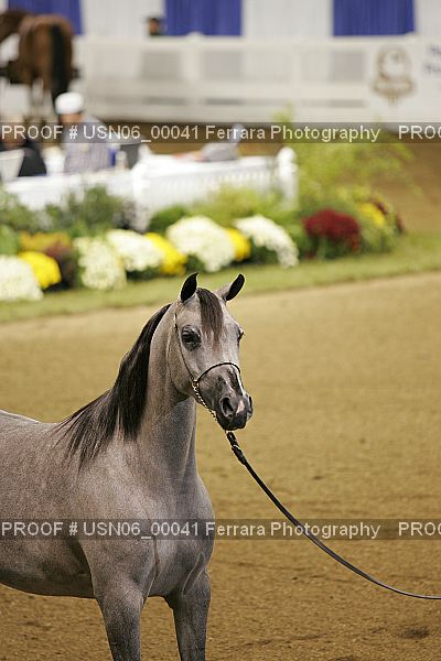 Proof USN06_00041