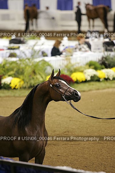 Proof USN06_00046