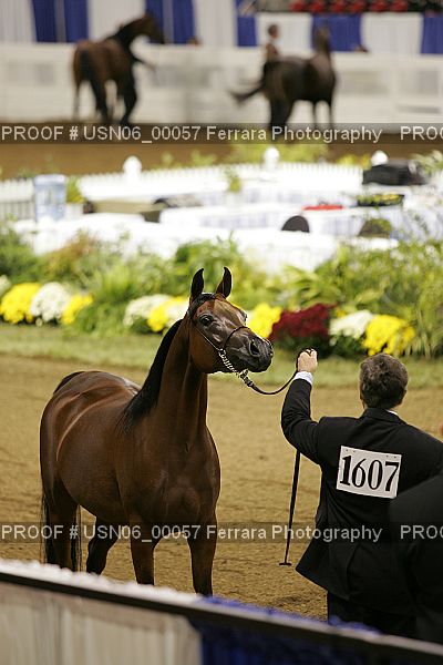 Proof USN06_00057