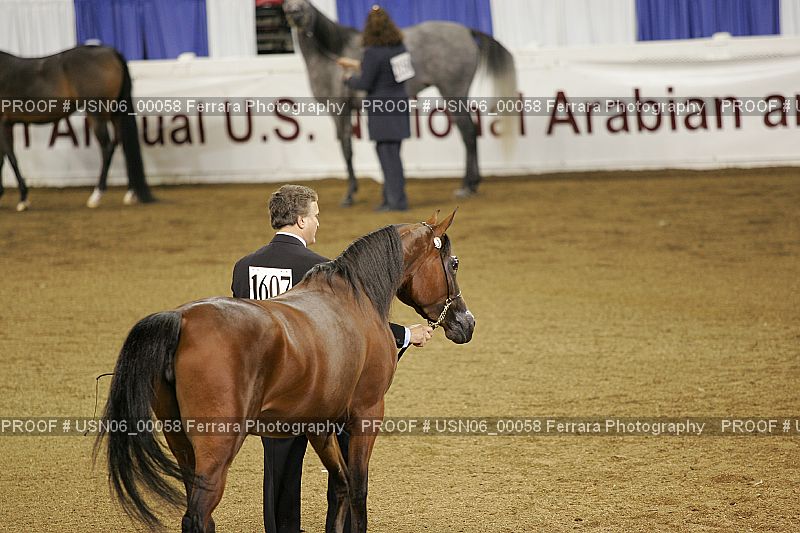 Proof USN06_00058