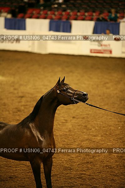 Proof USN06_04743