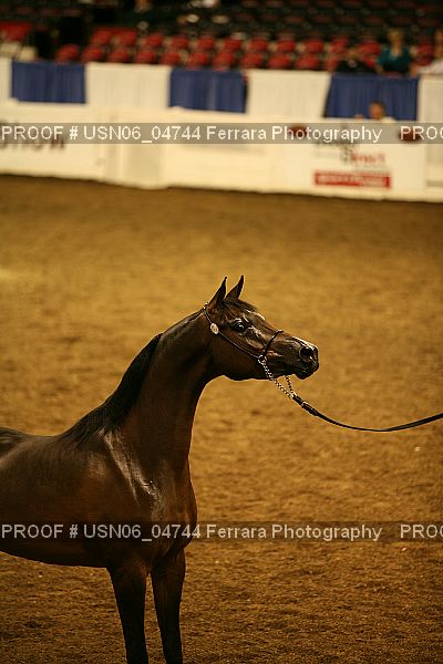 Proof USN06_04744