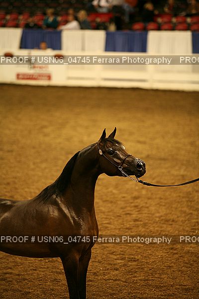 Proof USN06_04745