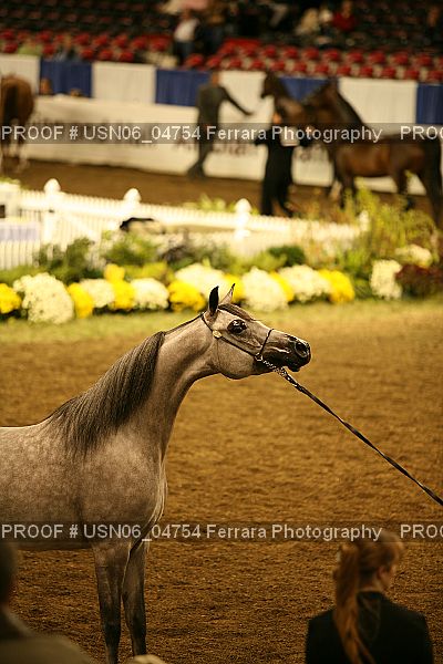 Proof USN06_04754
