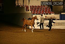 USN06_05249 proof