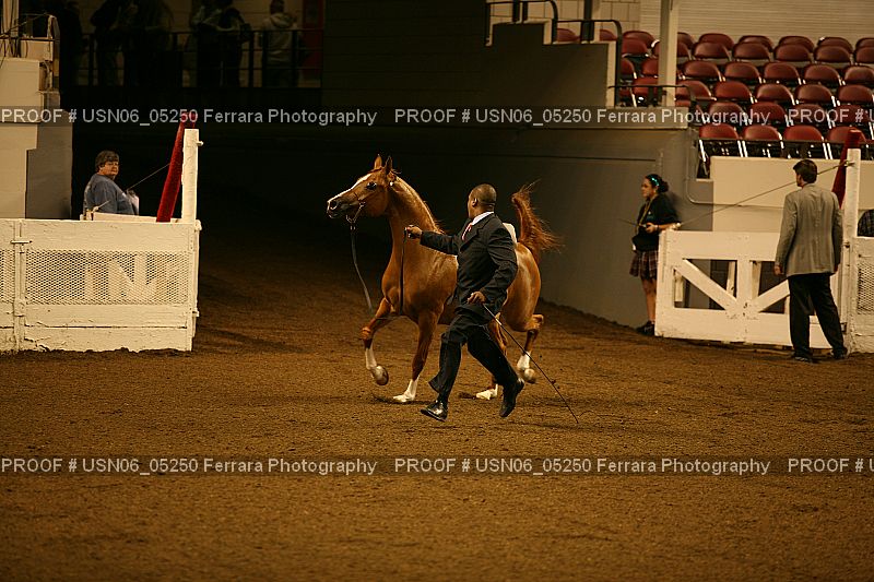 Proof USN06_05250