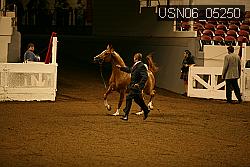 USN06_05250 proof