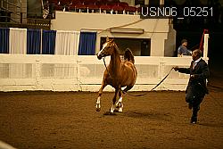 USN06_05251 proof