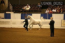 USN06_05252 proof