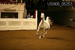 USN06_05253 proof