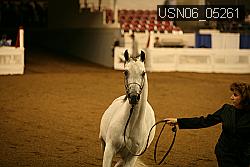 USN06_05261 proof