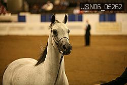 USN06_05262 proof