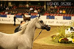 USN06_05266 proof