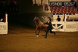 USN06_05267 proof