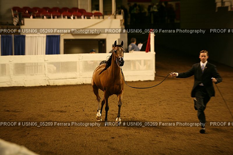 Proof USN06_05269