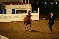 USN06_05269 proof