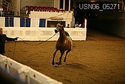 USN06_05271 proof
