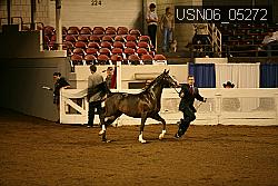 USN06_05272 proof