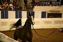 USN06_05275 proof