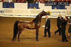 USN06_05283 proof