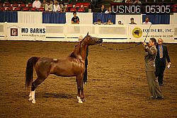 USN06_05305 proof