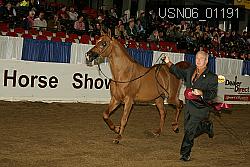 USN06_01191 proof