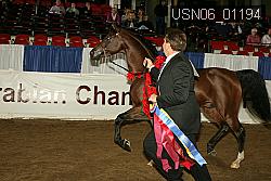 USN06_01194 proof