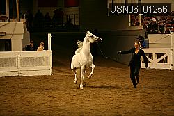 USN06_01256 proof
