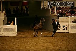 USN06_01260 proof
