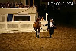 USN06_01264 proof