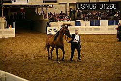 USN06_01266 proof