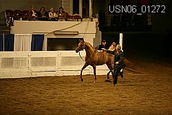 USN06_01272 proof