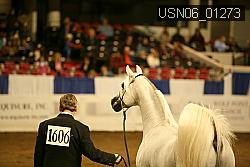 USN06_01273 proof