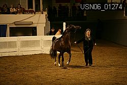 USN06_01274 proof