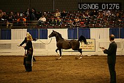 USN06_01276 proof