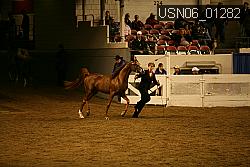 USN06_01282 proof
