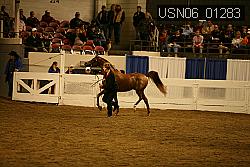USN06_01283 proof