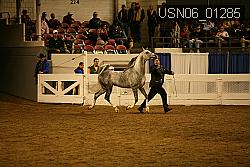 USN06_01285 proof